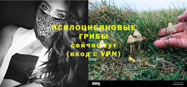 прущие крисы Горнозаводск