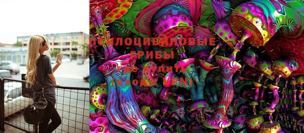 бошки Горно-Алтайск