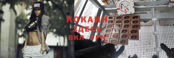 прущие крисы Горнозаводск