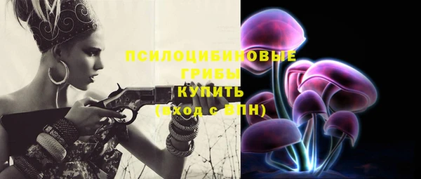 молекула духа Вязьма