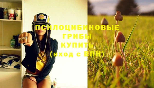 прущие крисы Горнозаводск
