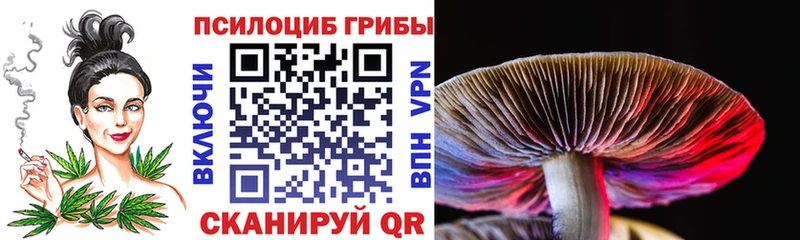 Галлюциногенные грибы мицелий Щигры